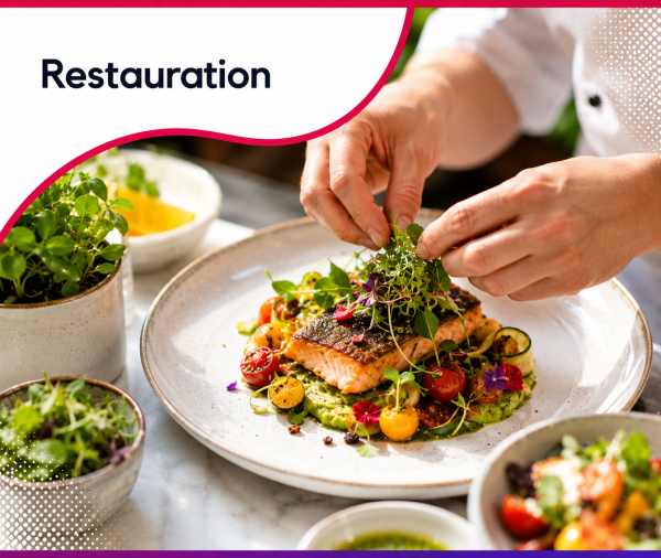 Chef dressant un plat gastronomique dans un restaurant haut de gamme, illustrant les services web et le consulting stratégique proposés par Roos Jordan Agency aux professionnels de la restauration.