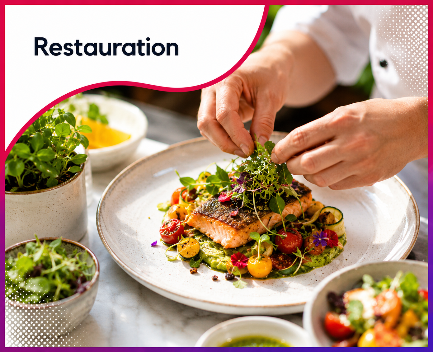 Chef dressant un plat gastronomique dans un restaurant haut de gamme, illustrant les services web et le consulting stratégique proposés par Roos Jordan Agency aux professionnels de la restauration.