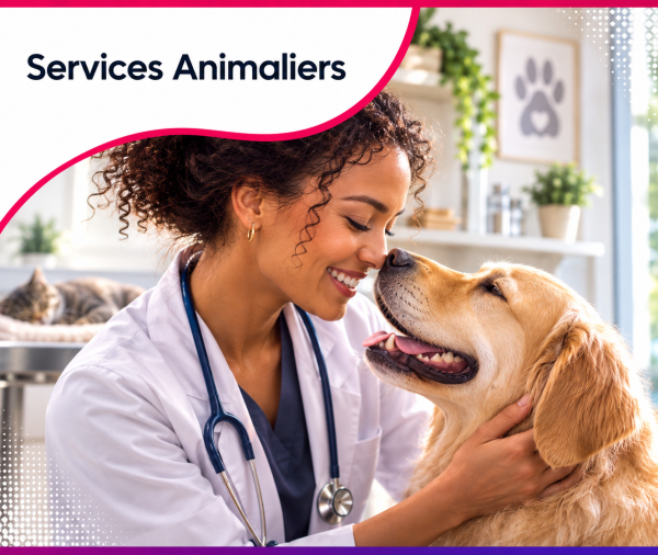 Vétérinaire partageant un moment de complicité avec un golden retriever dans une clinique haut de gamme, illustrant les services web et le consulting stratégique proposés par Roos Jordan Agency aux professionnels des services animaliers.